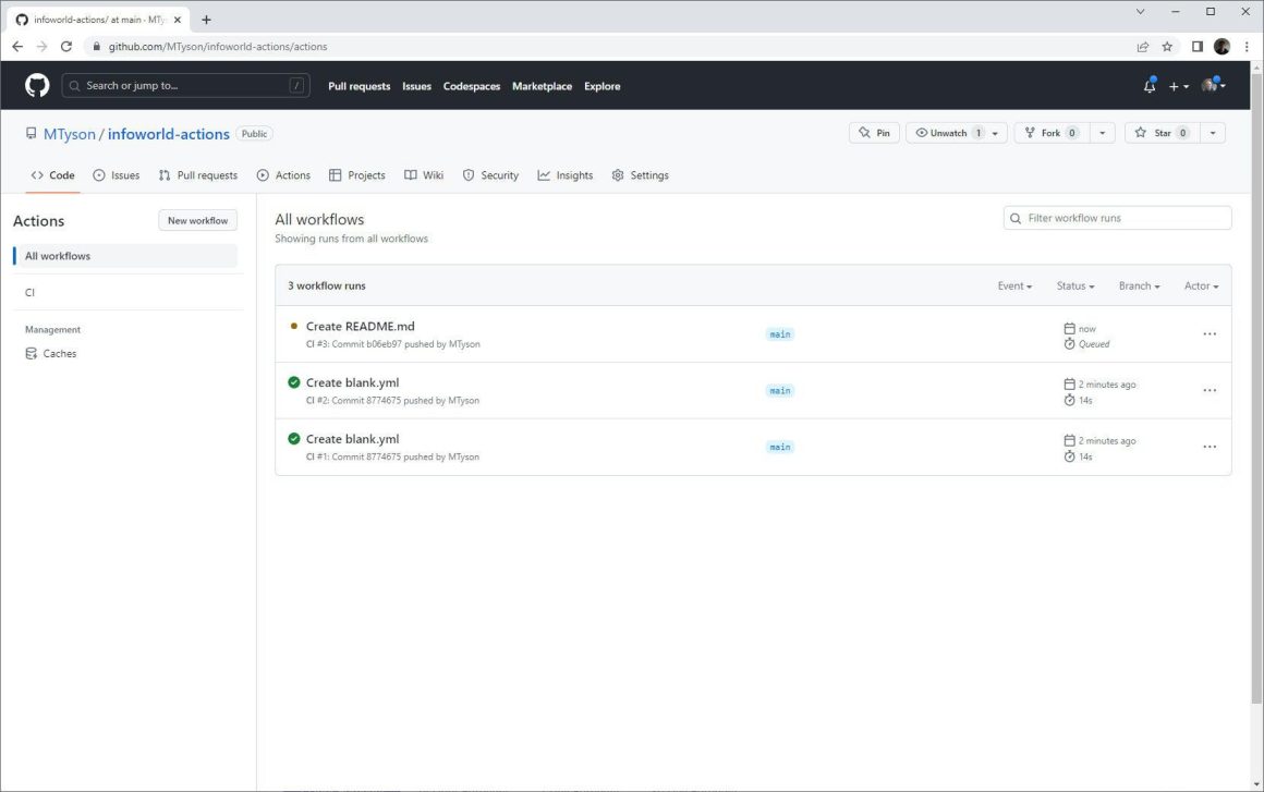 Figure 4. A listing of all the workflow runs