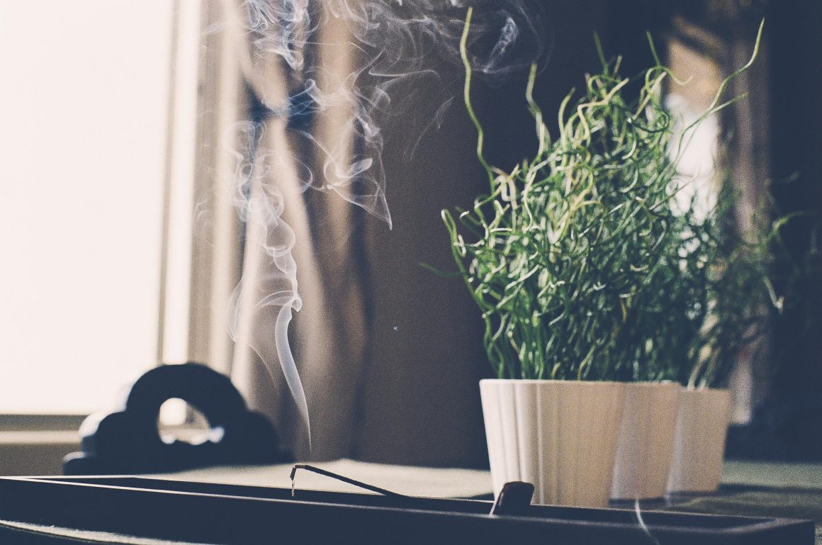 Incense Stick | Plants