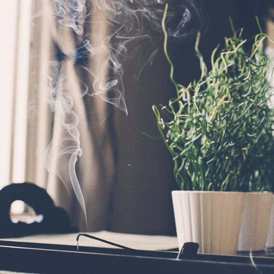 Incense Stick | Plants