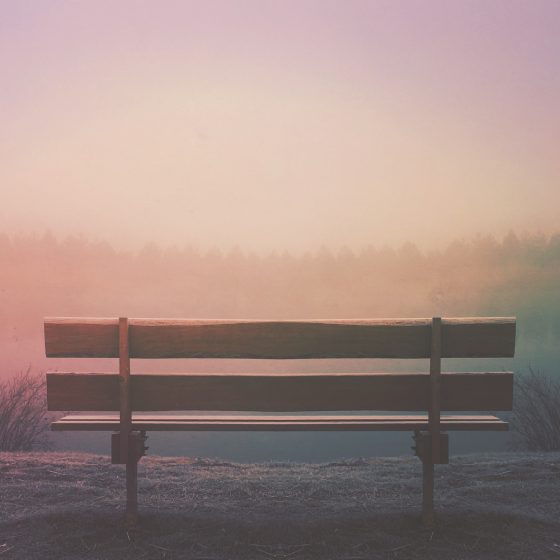 bench-aaron-burden-2bg1jPty490-unsplash